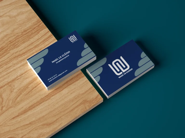 carte de visite - projet d'identité visuelle personnelle
