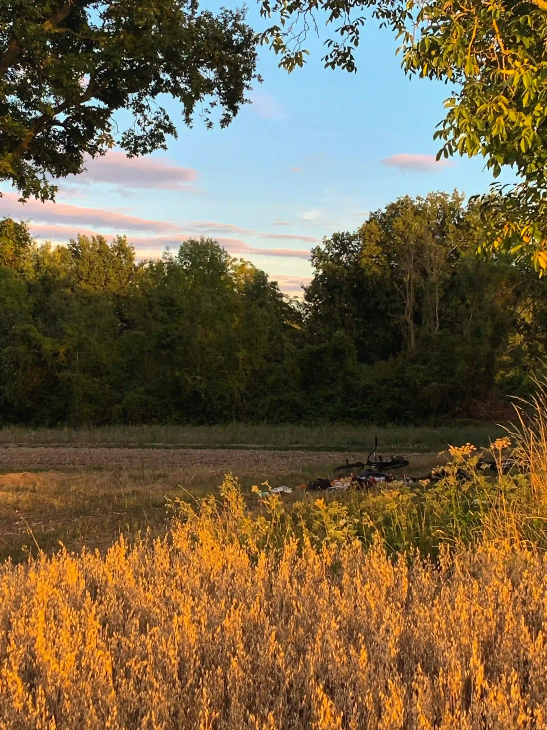 pique nique sur un coucher de soleil