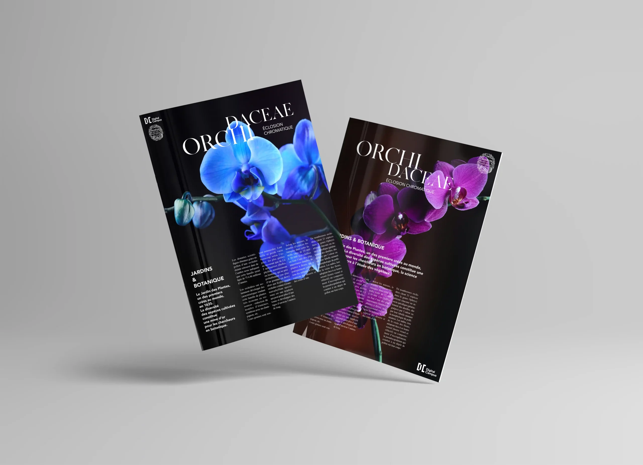 couverture de magazine de botanique - Orchidées